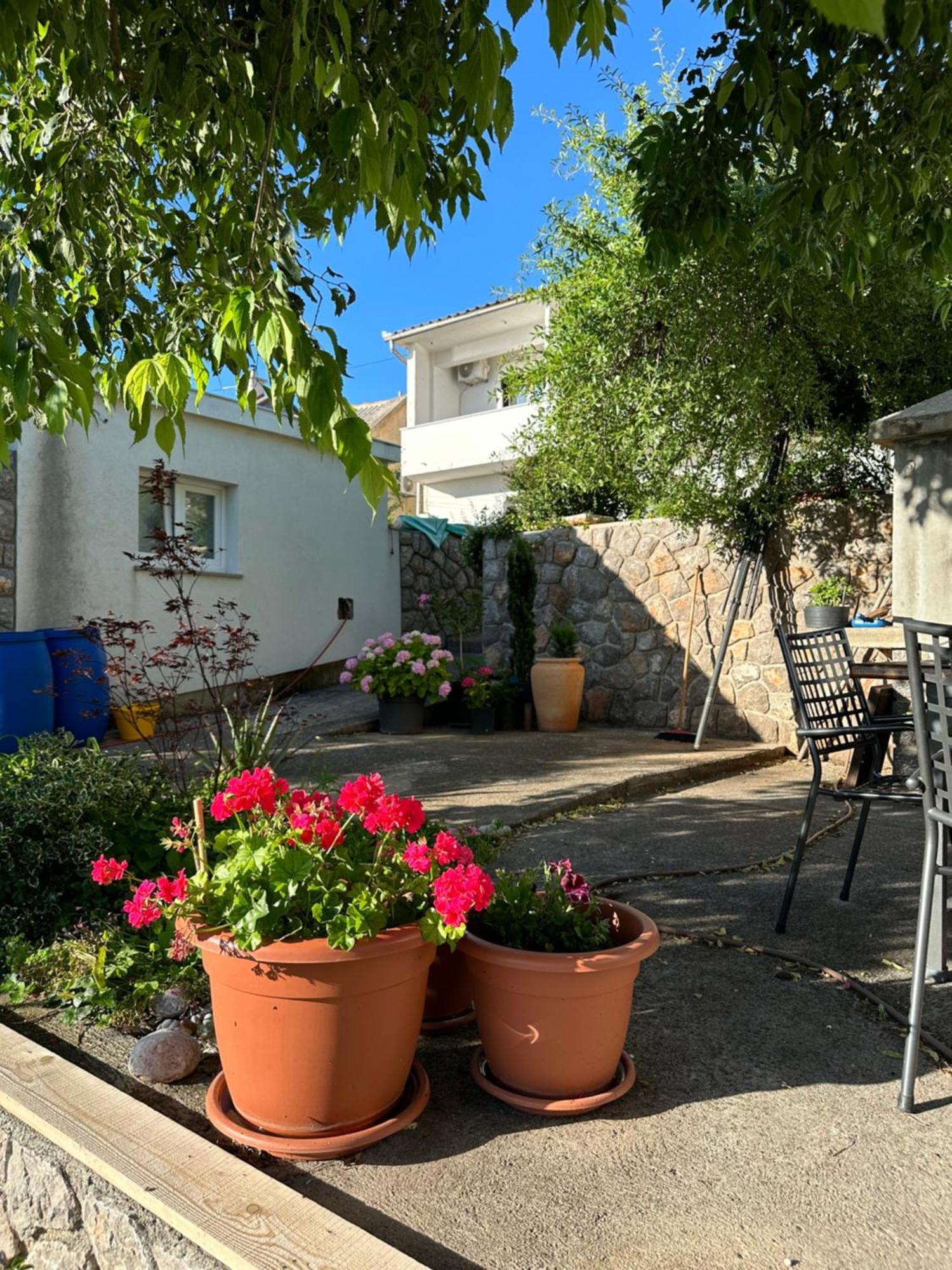 סנג' Villa Beba - Apartments מראה חיצוני תמונה