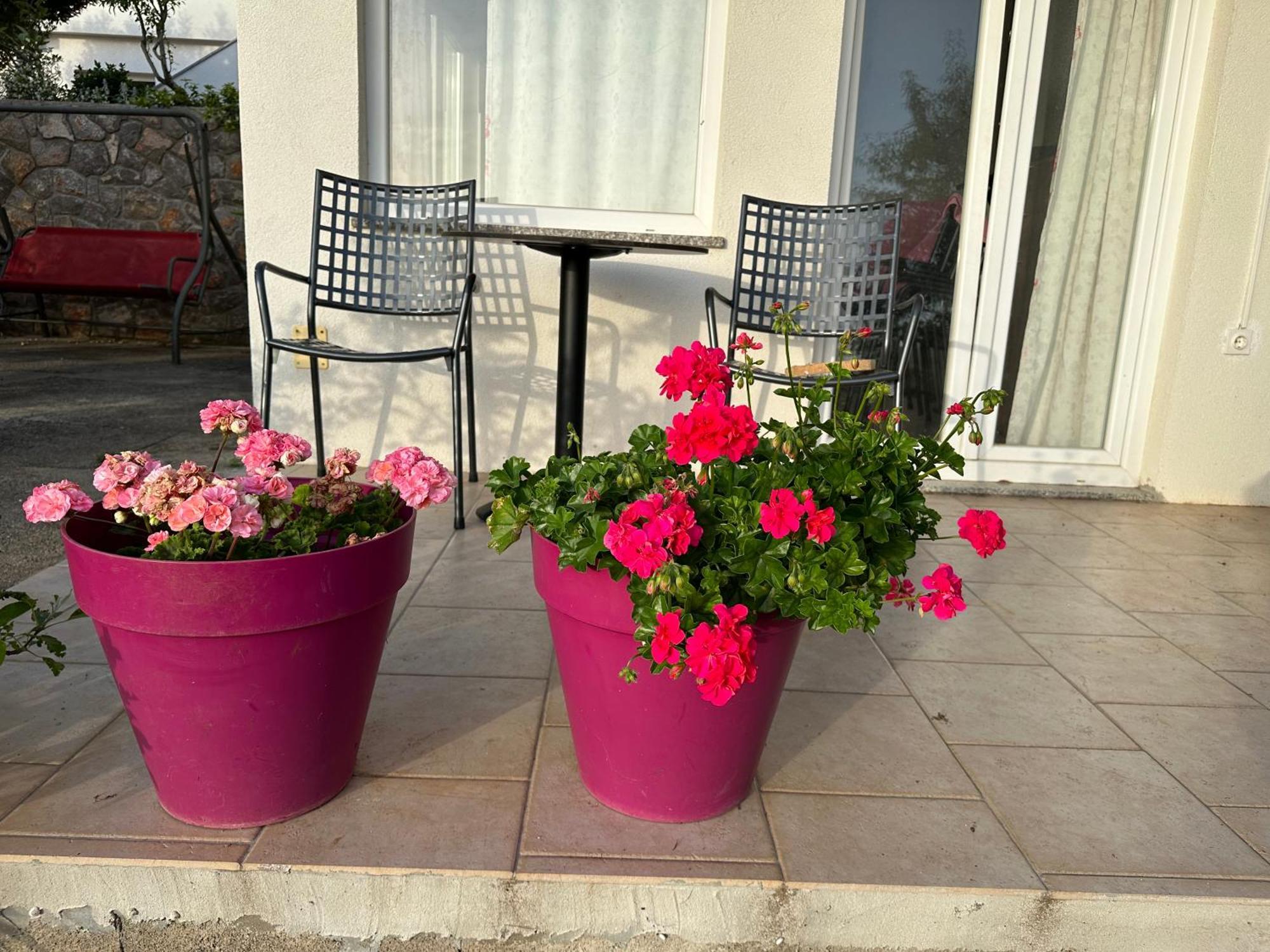 סנג' Villa Beba - Apartments מראה חיצוני תמונה