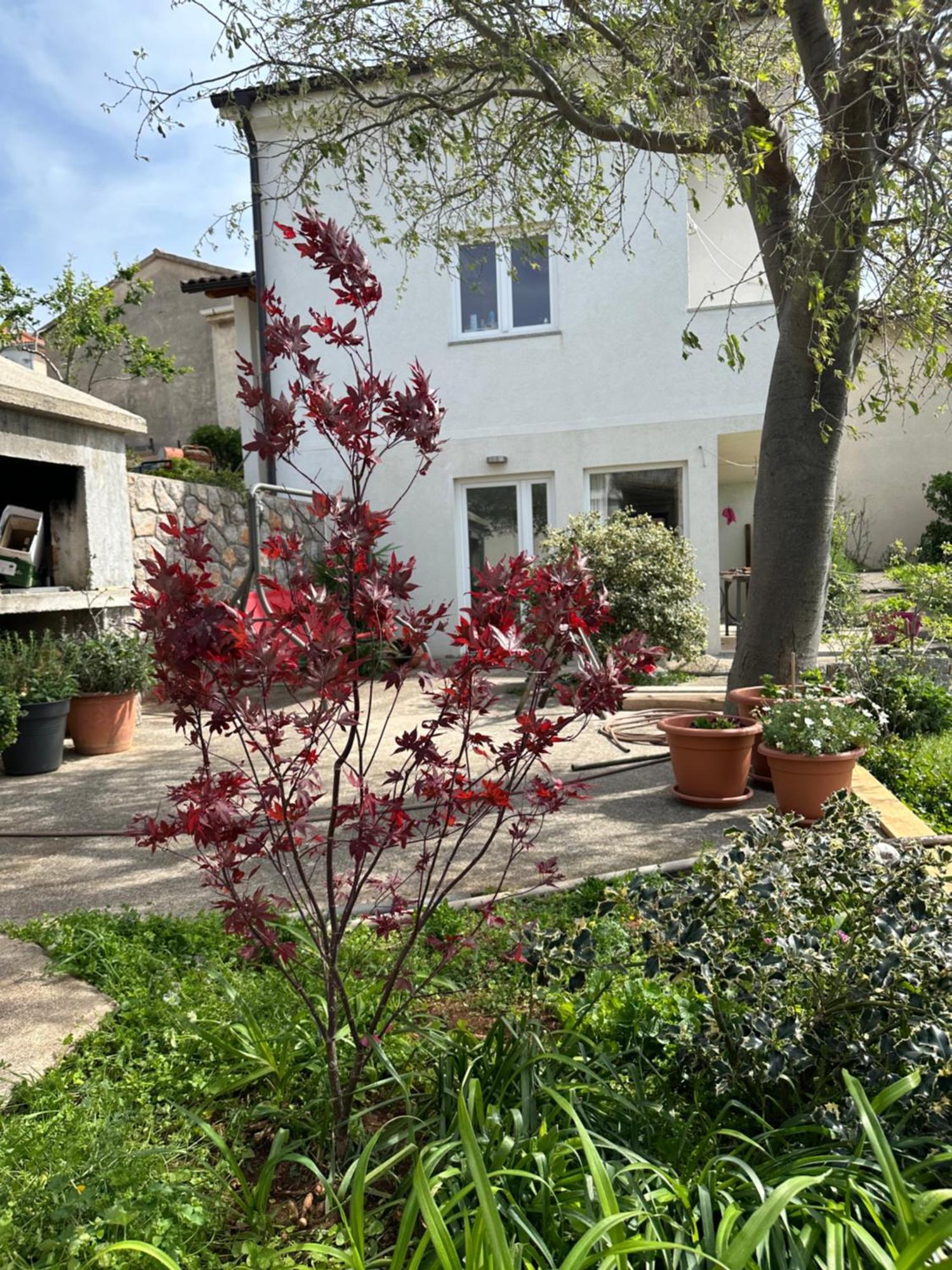 סנג' Villa Beba - Apartments מראה חיצוני תמונה